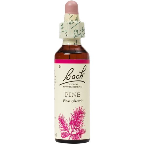 Bach Pine Ανθοΐαμα σε Σταγόνες 20ml